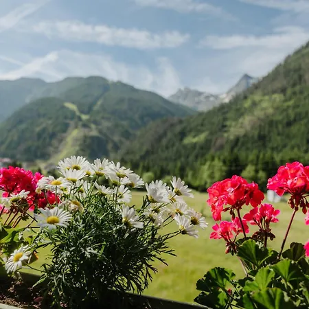 Apartament Almblick Sankt Jakob in Defereggen